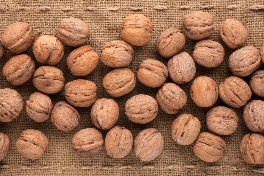 shelled walnuts