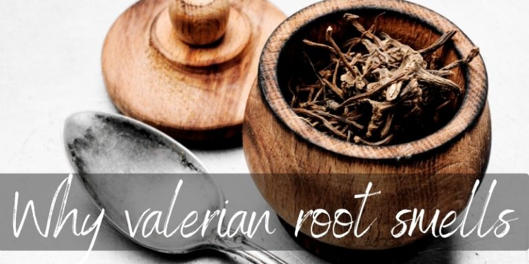 where-to-buy-valerian-root-extract-manufacturer-suppliers