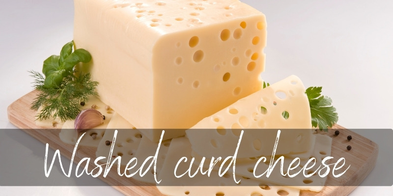 washed curd cheese