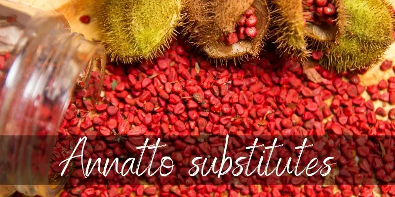 annatto substitutes