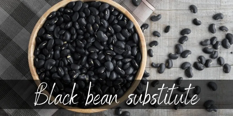 black bean substitute