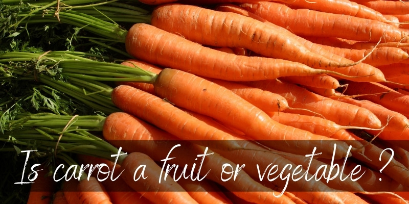 carrot fruit vegetable