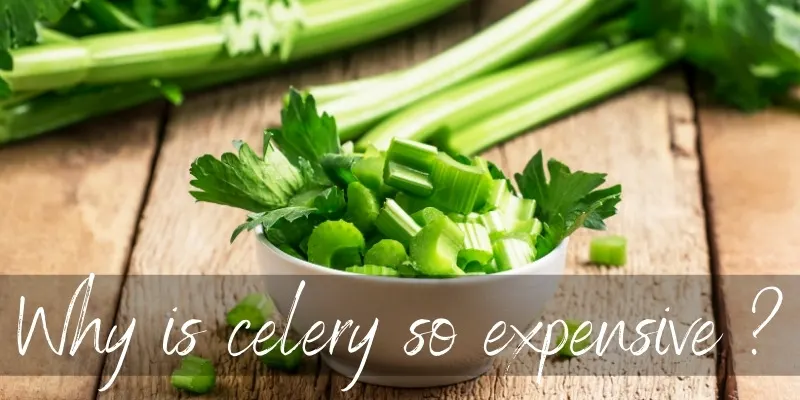 celery expensive