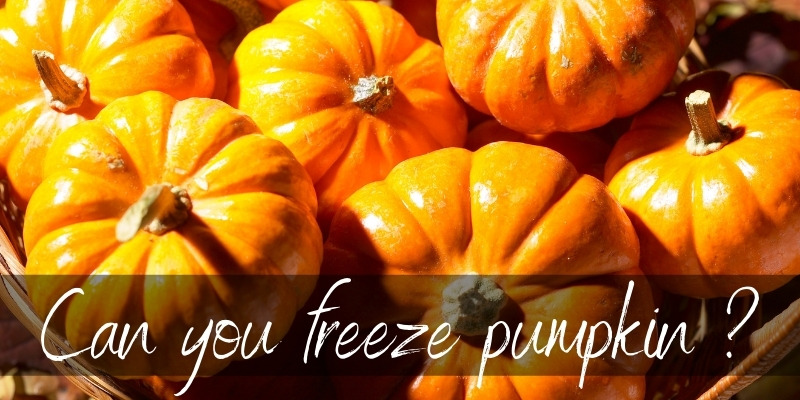 freeze pumpkin