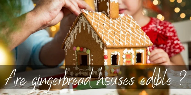 can dogs eat gingerbread houses