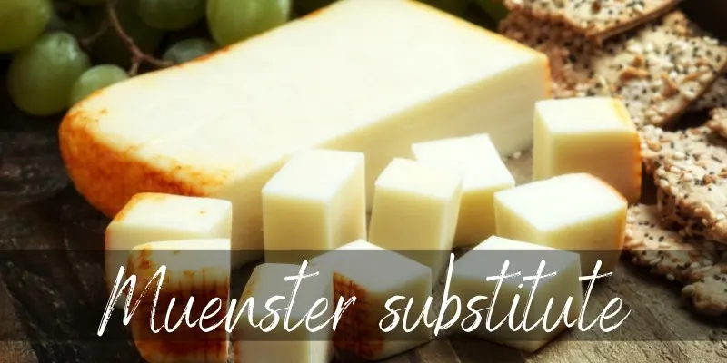 muenster substitute