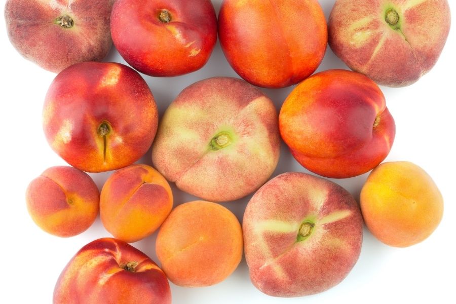 nectarine peaches