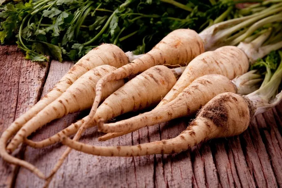 parsley root