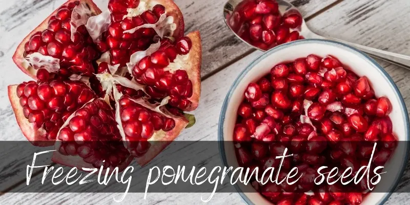 pomegranate freeze