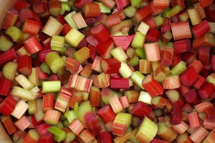 rhubarb