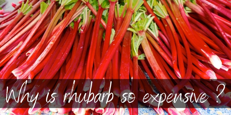 rhubarb expensive