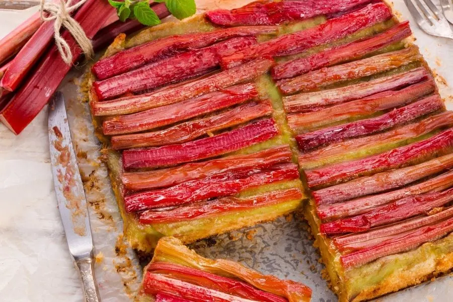 rhubarb tart