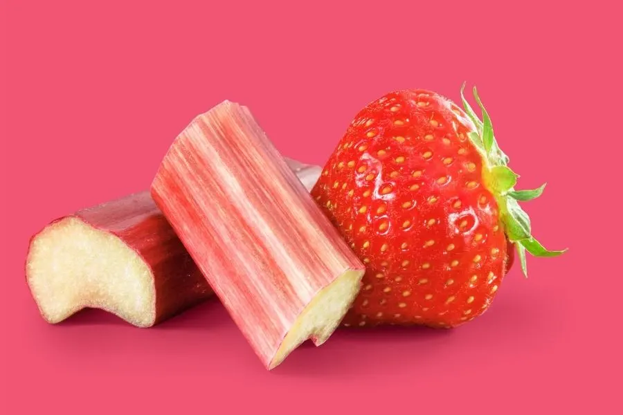 rhubarb strawberry