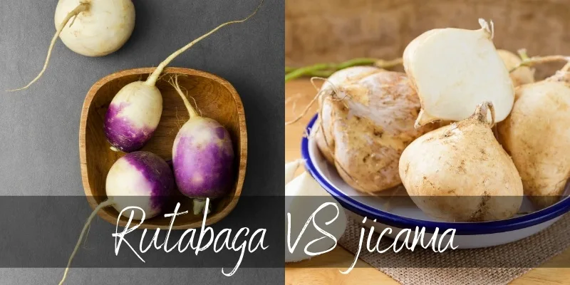 rutabaga jicama