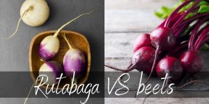 Read more about the article Rutabaga VS Beets – Two Very Different Yet Delicious Veggies