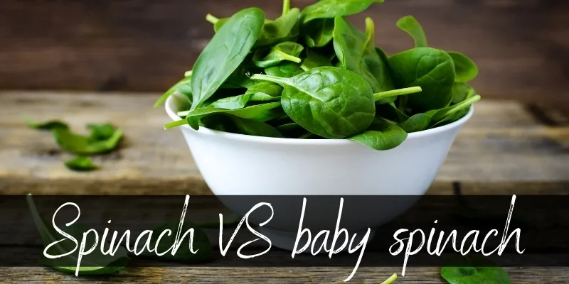 spinach baby spinach