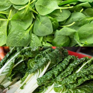 spinach vs silverbeet