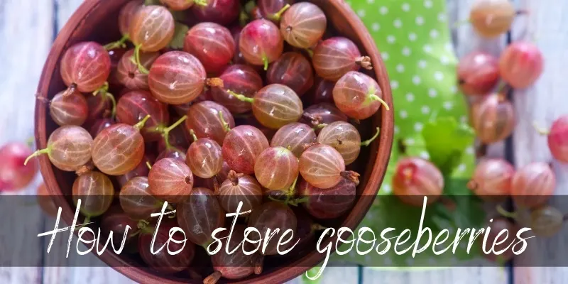 store gooseberries