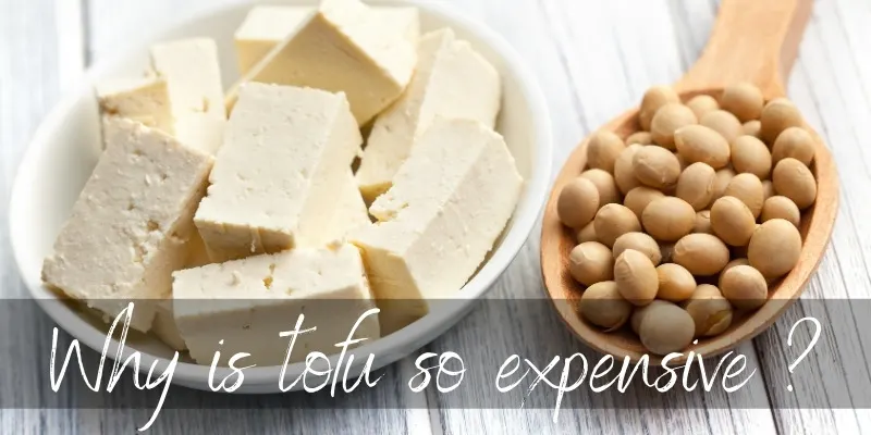 tofu expensive