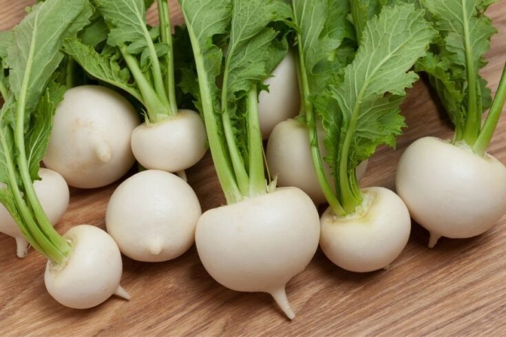 Psychedelic Rutagaba What Do Rutabagas Taste Like? Here's What To Know - Foodiosity