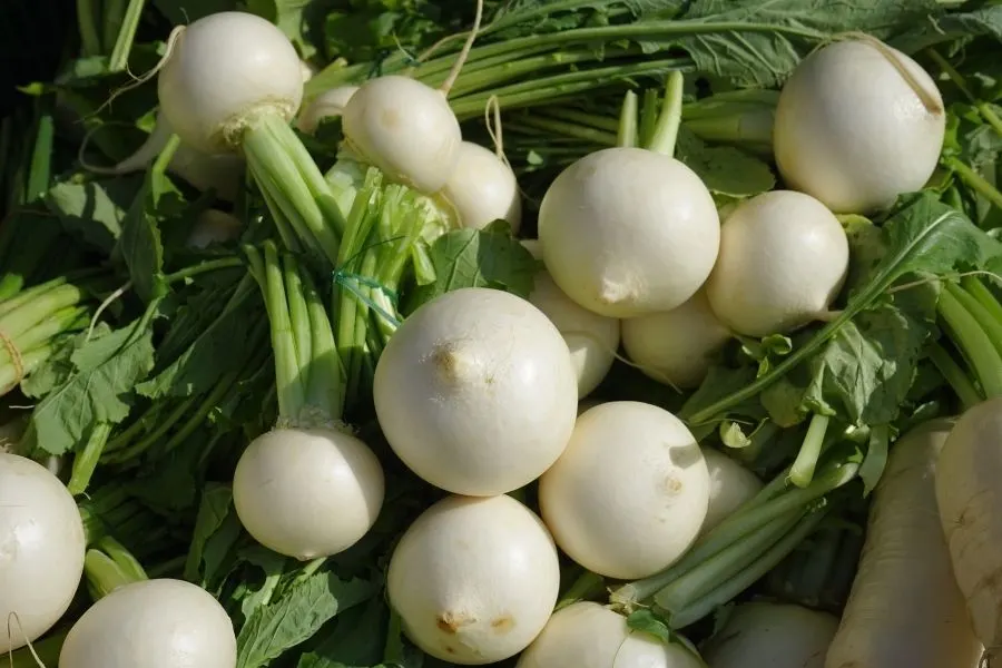 turnips