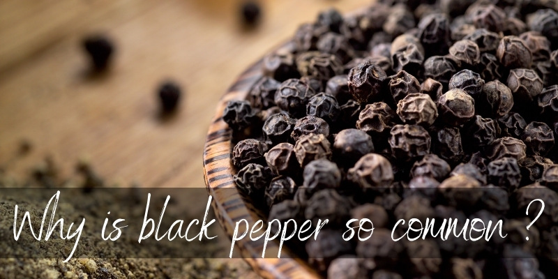 black pepper common