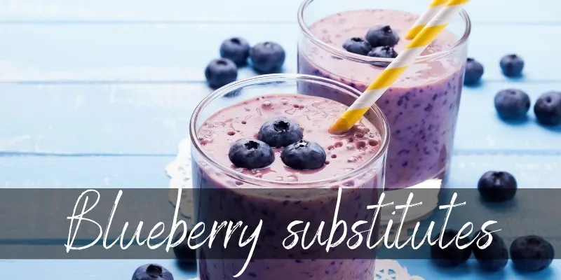 blueberry substitute