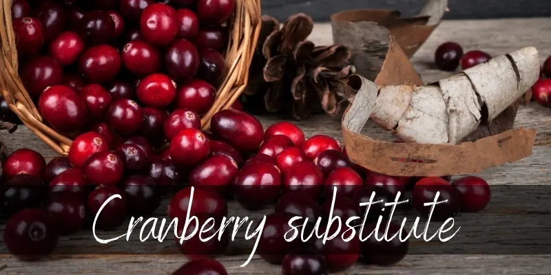 cranberry substitute