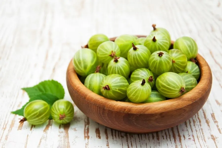 gooseberries