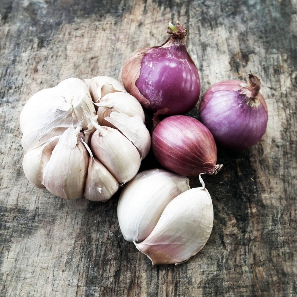 are-onions-and-garlic-related-discussing-the-allium-foodiosity