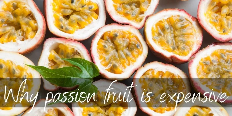 passion fruit expensive