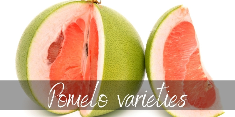 pomelo varieties