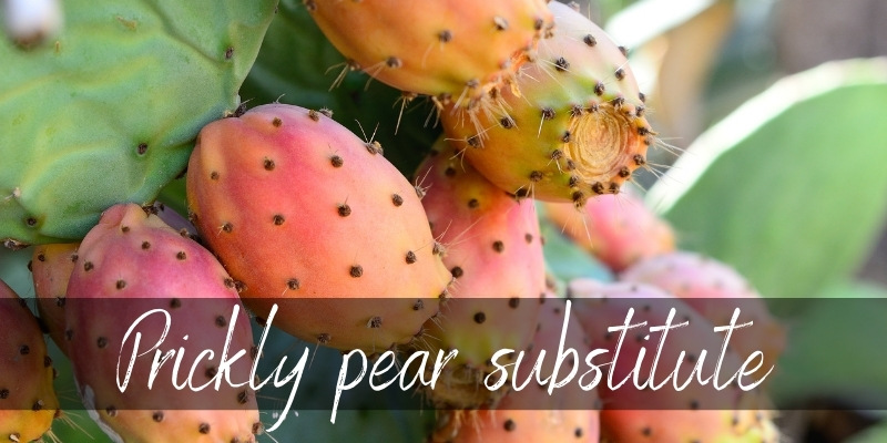 prickly pear substitute
