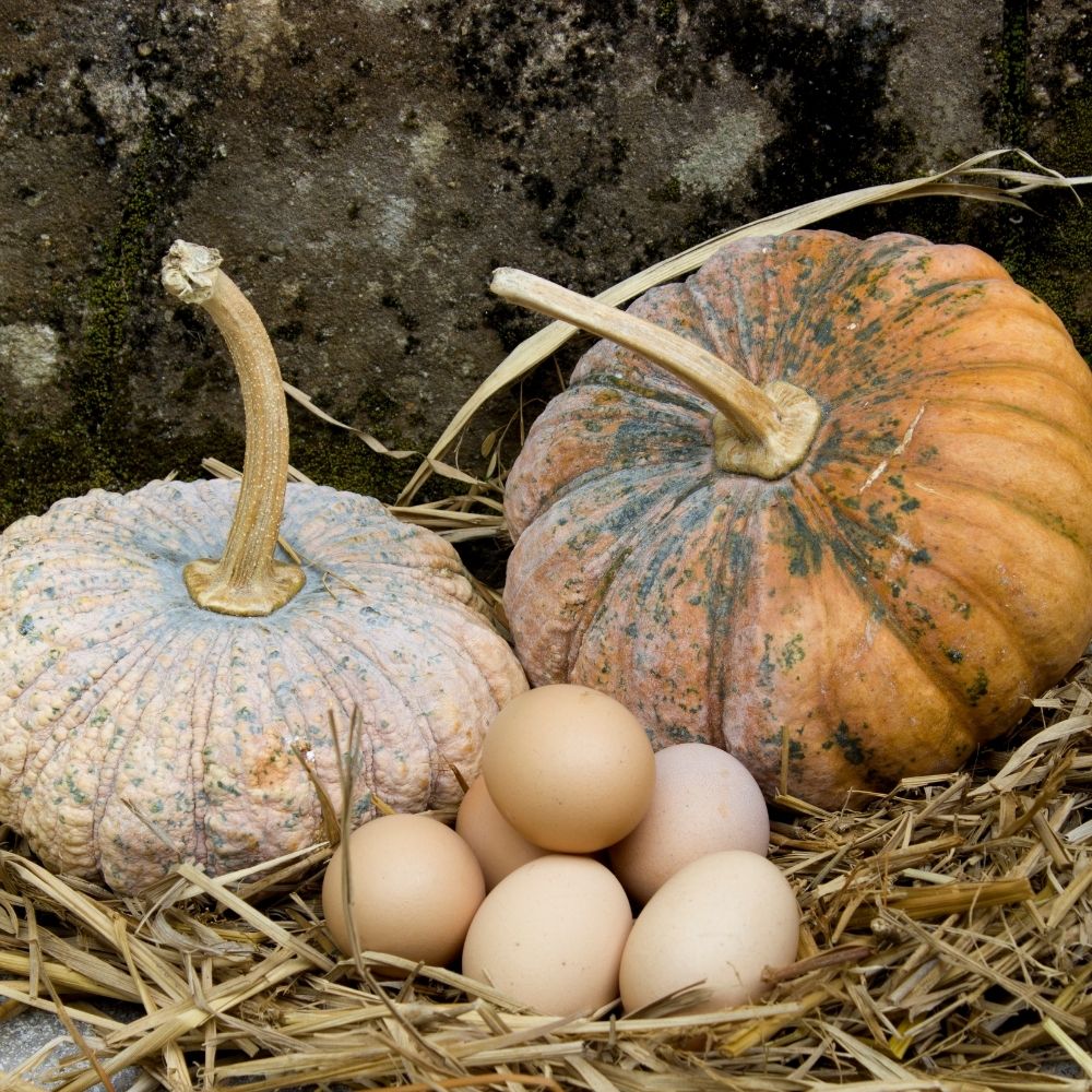 Pumpkin Substitute For Eggs Here's How To Do It Foodiosity