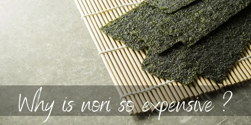 nori expensive