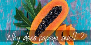 Read more about the article Why Does Papaya Smell So Bad ? It Might Be You