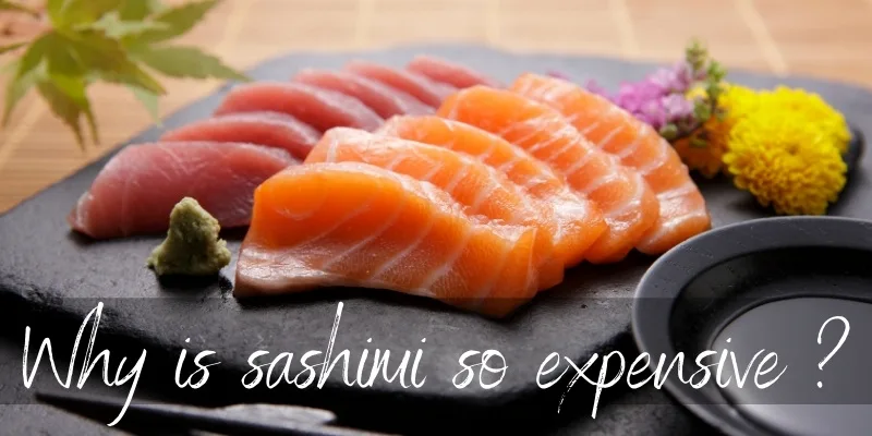 sashimi expensive