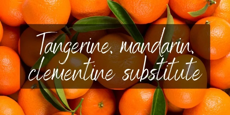 tangerine mandarin clementine substitute