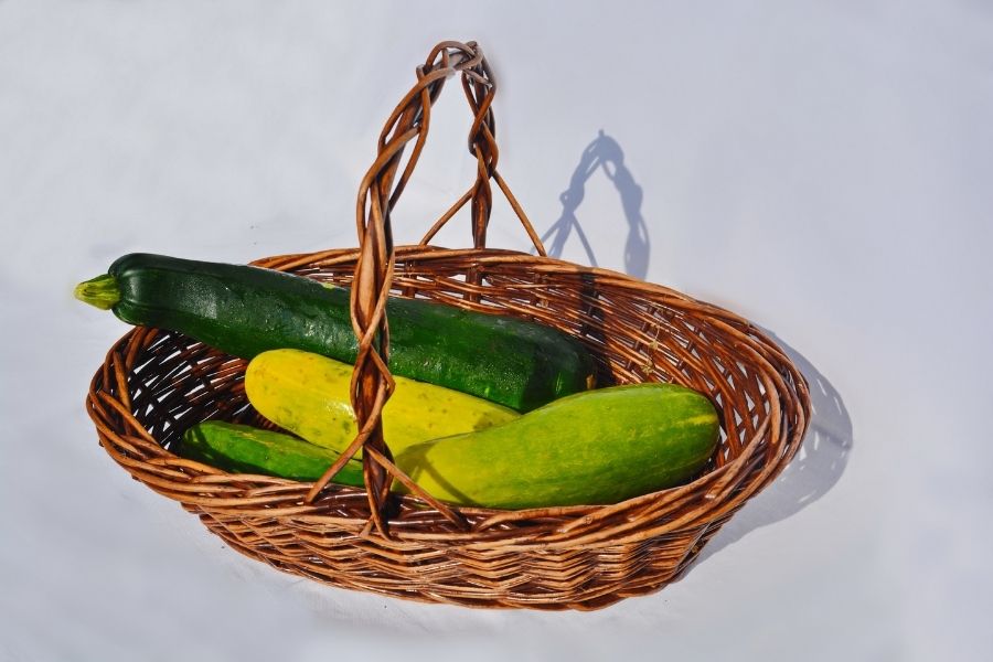 zucchini cucumber