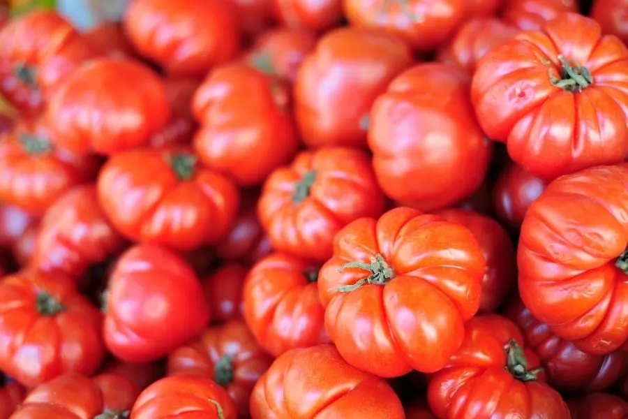 Beefsteak tomatoes