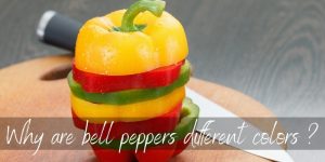 Read more about the article Why Are Bell Peppers Different Colors ? Here’s What To Know