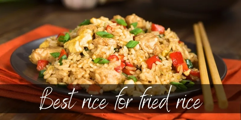 fried rice