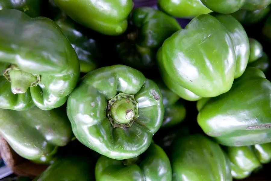 green bell pepper