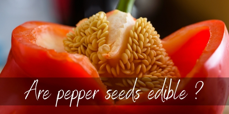 pepper seeds edible
