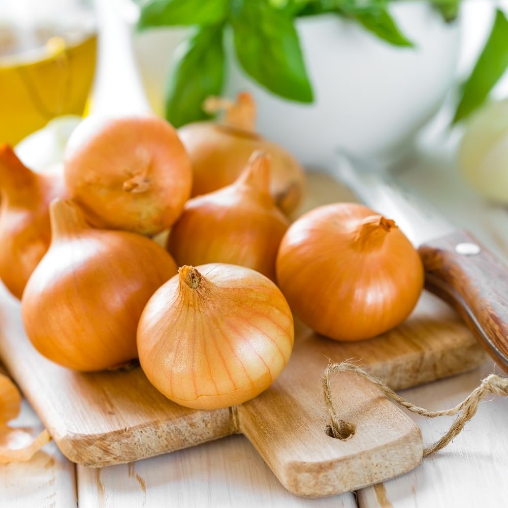 Why Are Onions So Strong ? Here's What Makes Them Spicy Foodiosity