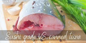 Read more about the article Sushi Grade VS Canned Tuna – What They Are & How They’re Used