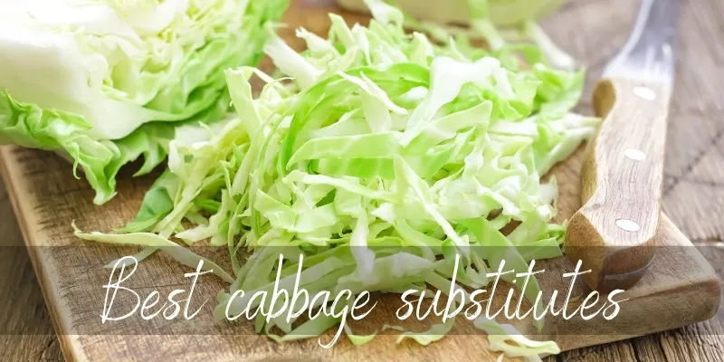 cabbage substitute