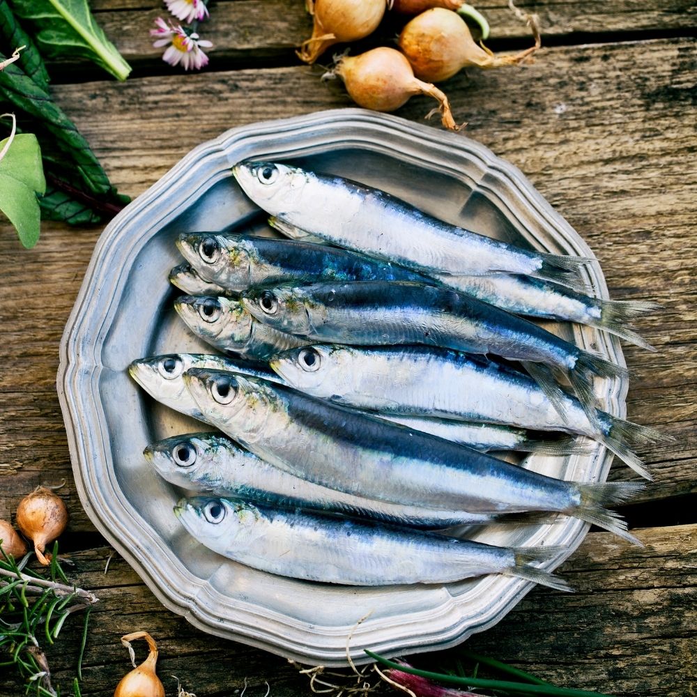 Why Are Sardines So Cheap ? 3 Great Reasons Foodiosity