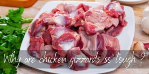 Read more about the article Why Are Chicken Gizzards So Tough ? It’s All In The Muscle