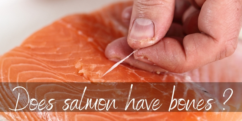 salmon bones